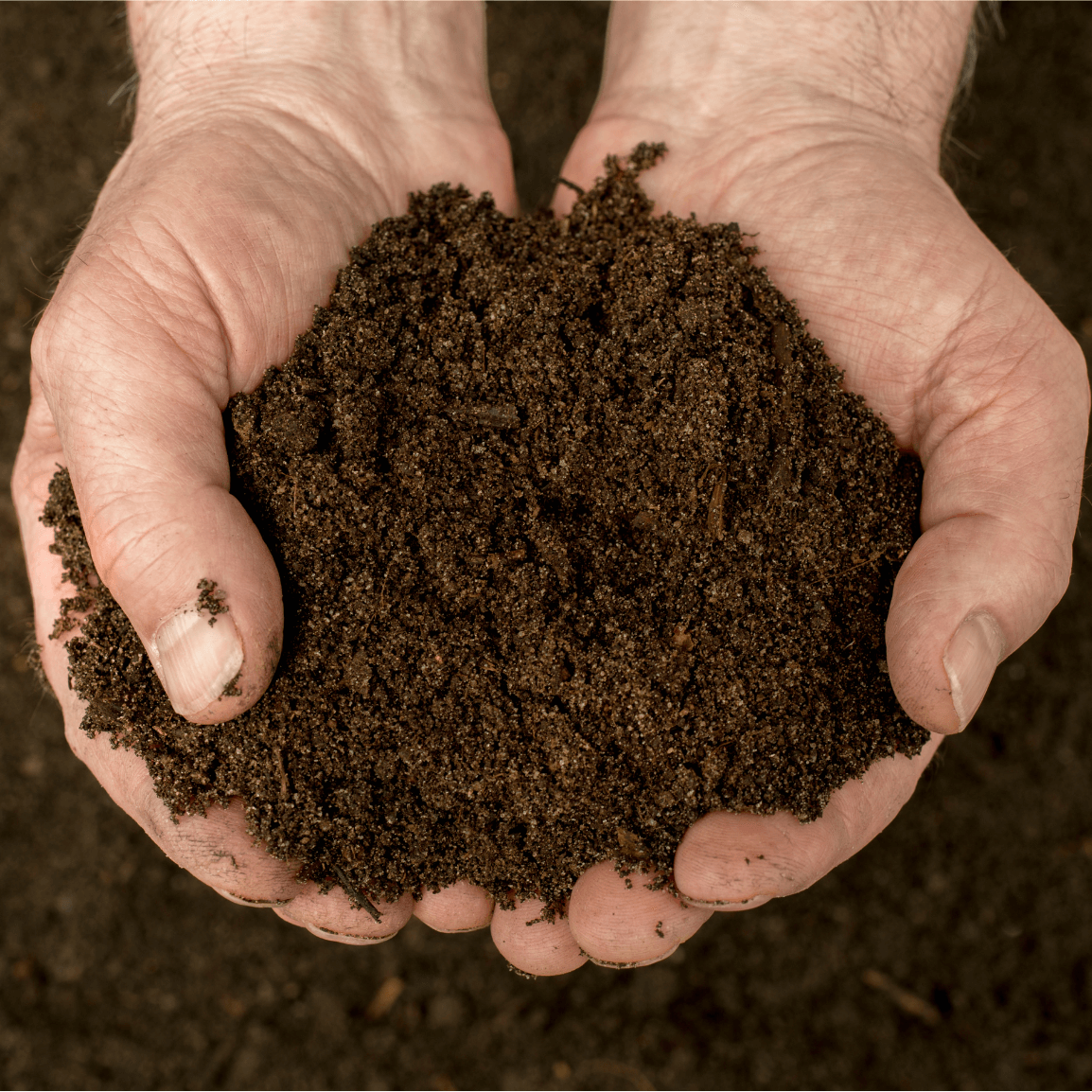 organic compost lawn fertilizer service (1)